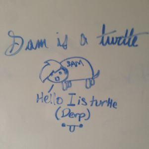 Meet your Posher, Samuel